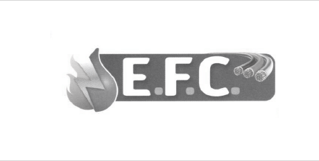 E.F.C électricité froid climatisation à Vire